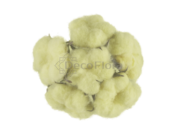 Цветок хлопка 6,5см кремовый (6 штук)